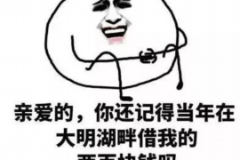 汝州贷款清欠服务
